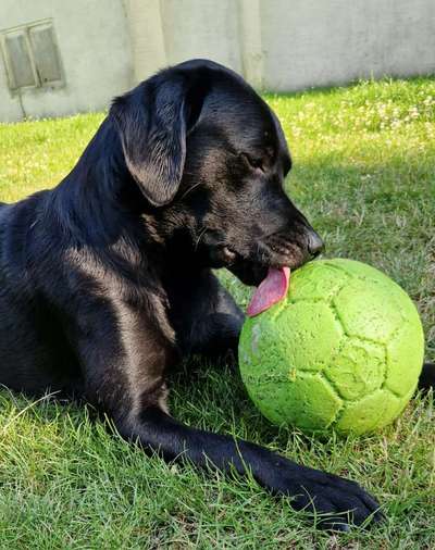 65. Handy Foto Challange                     "Ich kann nicht ohne..."-Beitrag-Bild