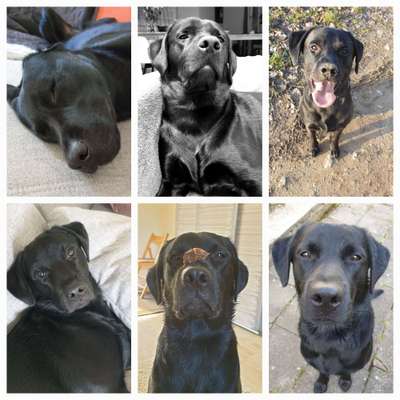 Fotocollage-Beitrag-Bild