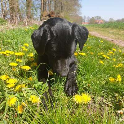 Foto-Challange No.1 - Alles aber nicht die Kamera-Beitrag-Bild