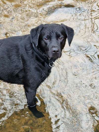 35. Handy Foto Challenge - Das nasse Element-Beitrag-Bild