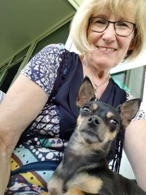 Hundetreffen-Spaziergang in Elmpt-Bild