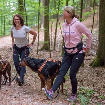 Hundetreffen-Fit mit Hund 🐶 Ahrensburg-Bild