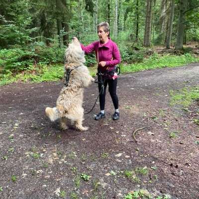 Hundetreffen-Fit mit Hund Ahrensburg-Bild