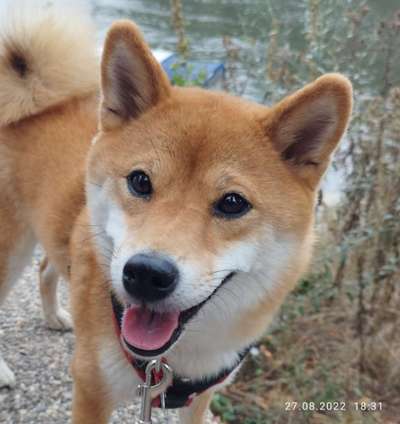 Zeigt eure Portraits-Beitrag-Bild