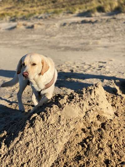 Eure Strandbilder :)-Beitrag-Bild