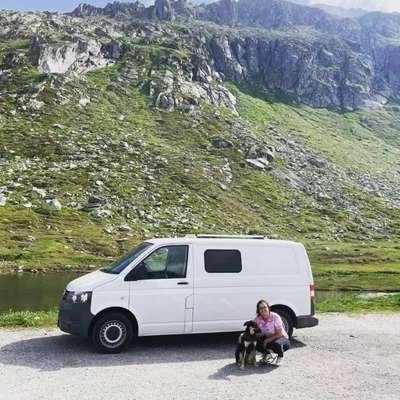 Hundetreffen-Gassirunde-Profilbild
