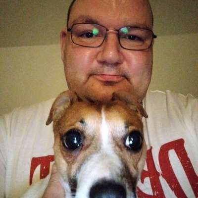 Hundetreffen-Hundespielen-Bild