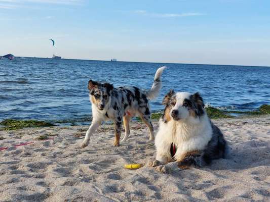 Theos Fotochallange Nummer 4-Beitrag-Bild