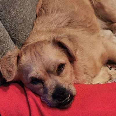 Alexandra's Profilbild