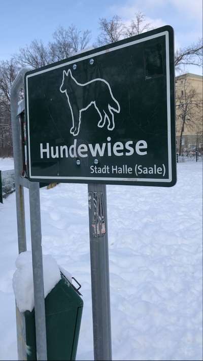 Hundeauslaufgebiet-Stadtpark-Bild