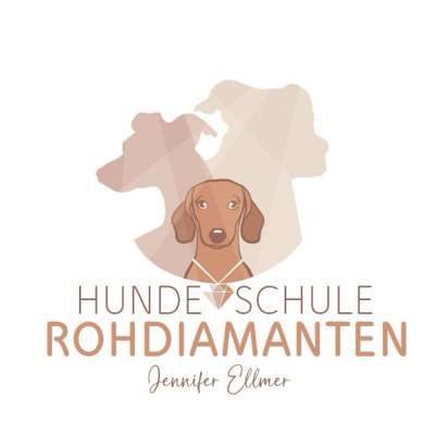 Hundeschulen-Hundeschule Rohdiamanten-Bild