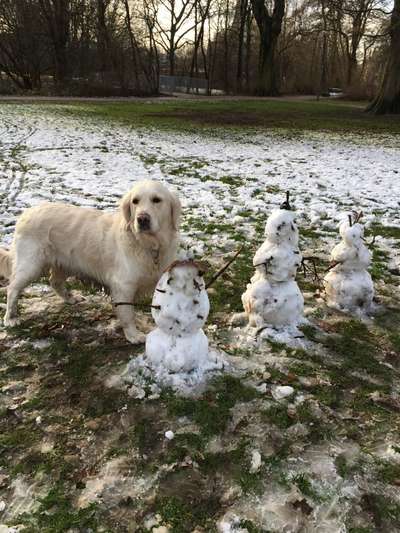 Dogorama Photo Challenge - Es wird nochmal kalt!-Beitrag-Bild