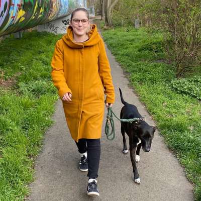 Hundetreffen-Hunderunde zum Feierabend-Profilbild