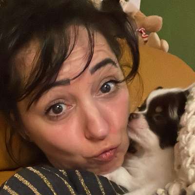 Hundetreffen-Wir suchen Chihuahua Fellnasen zum Welpenspielen