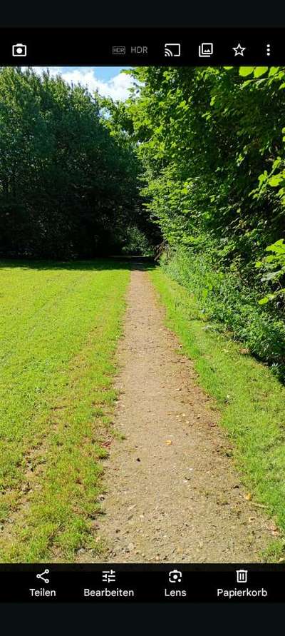 Hundeauslaufgebiet-Gassirunde-Bild