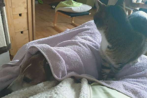 CHALLENGE Nr.17-Beitrag-Bild