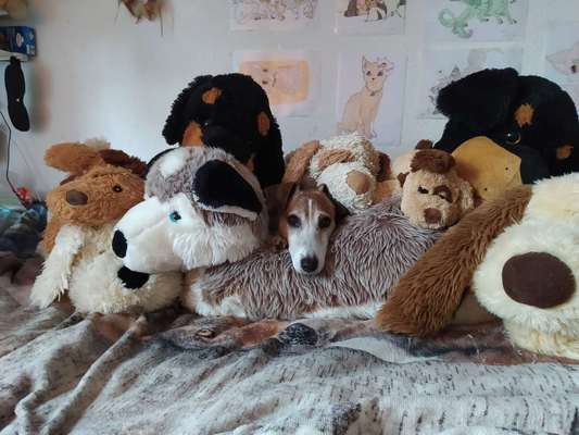 Challenge 21 - wo bin ich : )-Beitrag-Bild