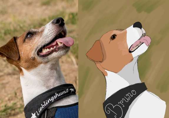 Zeichnungen Eurer Hunde !?-Beitrag-Bild