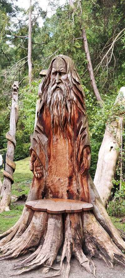 Bäume mit Gesicht-Beitrag-Bild