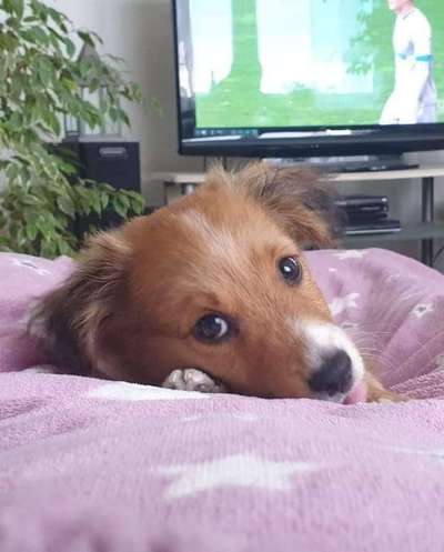 Lieblings Schnappschuss?-Beitrag-Bild