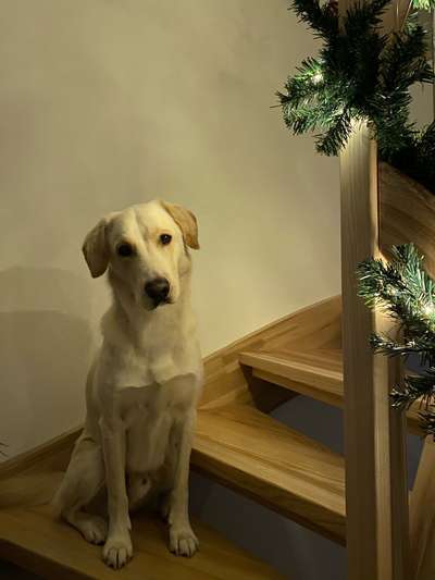 21. Handy-Foto-Challenge-Beitrag-Bild