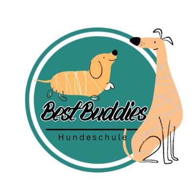 Hundeschulen-Hundeschule "Best Buddies"-Bild
