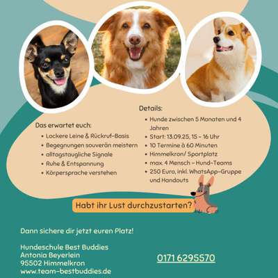 Giftköder-Junghundekurs-Bild