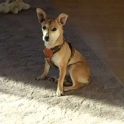 Reiseübelkeit-Beitrag-Bild