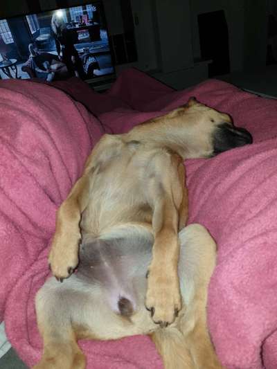 Die unbequemsten und lustigsten Schlafpositionen-Beitrag-Bild