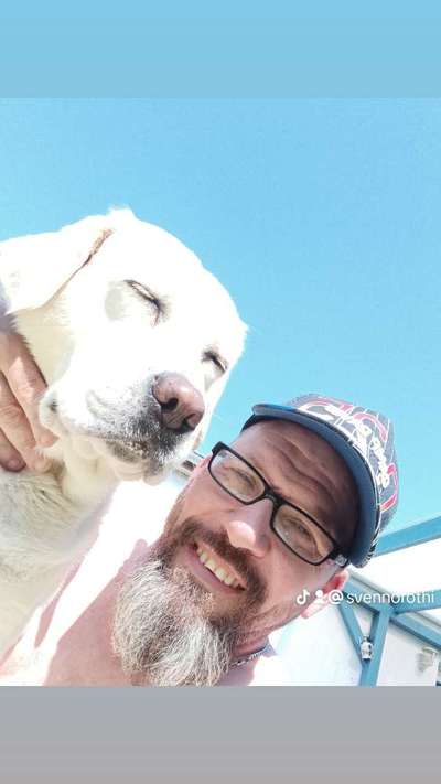 Dogorama Photo Challenge - Liebesbeweis-Beitrag-Bild