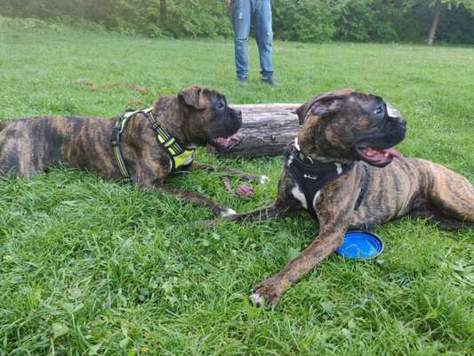 Spieltrieb ;)-Beitrag-Bild