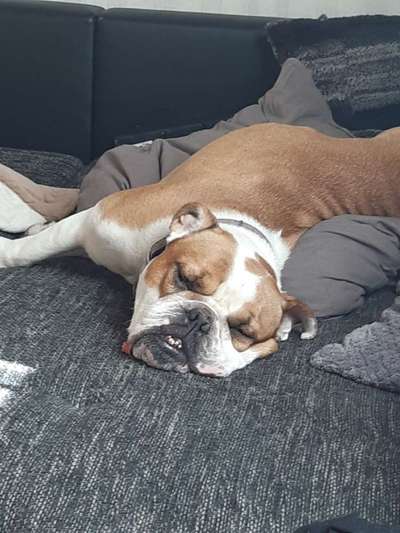 Die unbequemsten und lustigsten Schlafpositionen-Beitrag-Bild