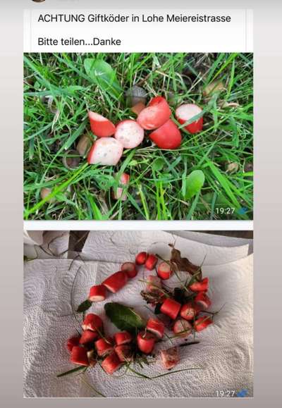 Giftköder-Giftköder-Bild