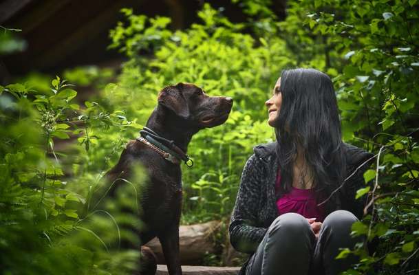 Hundmenschfotos-Beitrag-Bild