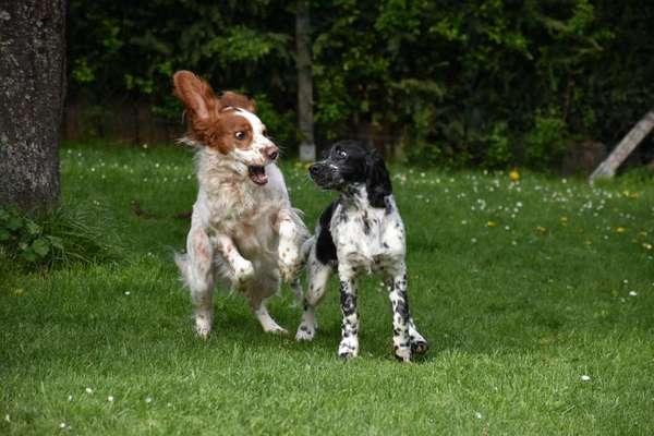 FOTO CHALLENGE Thema ,,durchdrehen"-Beitrag-Bild