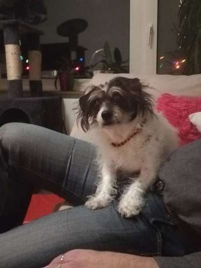 Die graue Eminenz-Beitrag-Bild