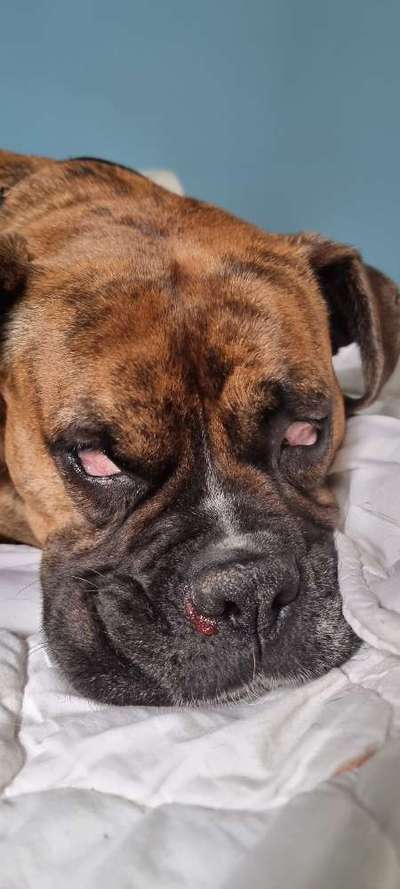 Was tun?-Beitrag-Bild