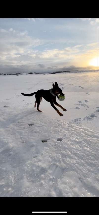 Challenge Nr. 15
Spiel im Schnee-Beitrag-Bild