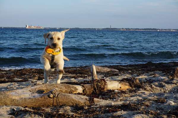 Fotochallenge Nr. 52 „Spring!“-Beitrag-Bild