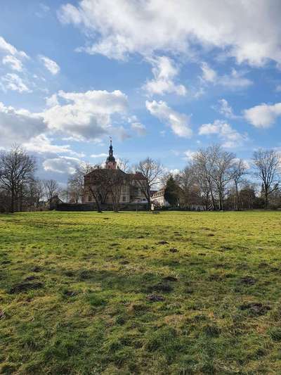 Hundeauslaufgebiet-Schlosspark Machern-Bild