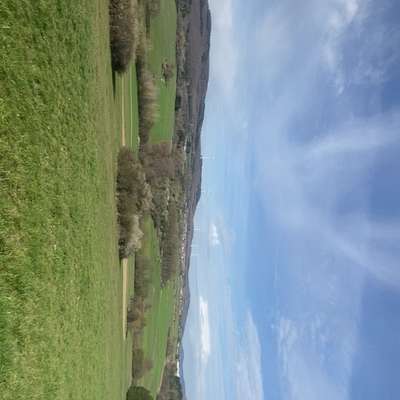 Hundeauslaufgebiet-Haigerer Heide-Bild