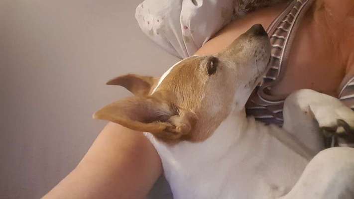 Die unbequemsten und lustigsten Schlafpositionen-Beitrag-Bild