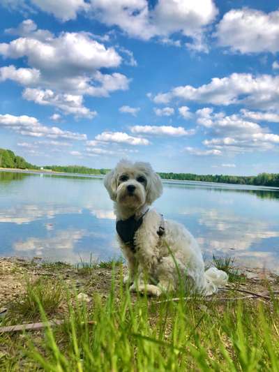 Theos  Fotochallenge Nummer 2-Beitrag-Bild