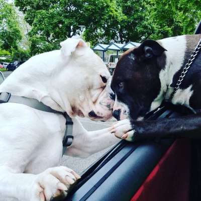 Fotochallange Nr. 57     PORTRÄT.   Beendet!!!!!!!!-Beitrag-Bild