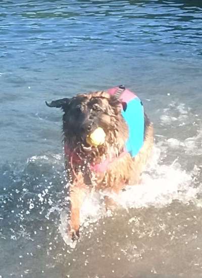 Schwimmweste / Rettungsweste - wann ja, wann nein?-Beitrag-Bild