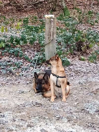 Körperliche Auslastung im Winter für Frostbeulen-Beitrag-Bild