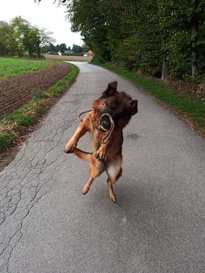 20. Handy -Foto-Callenge-Beitrag-Bild