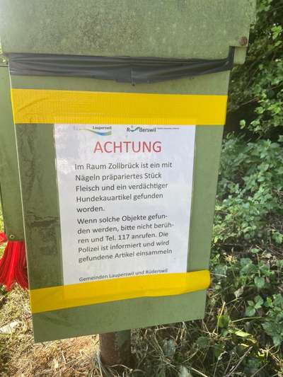 Giftköder-Giftköder in Zollbrück-Bild