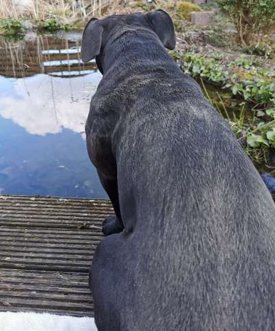 Zeigt mir doch mal eure Dreckspätze-Beitrag-Bild