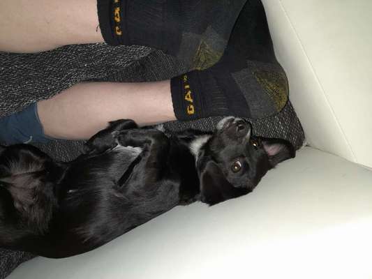 4. Lustiger Schlafplatz-Beitrag-Bild